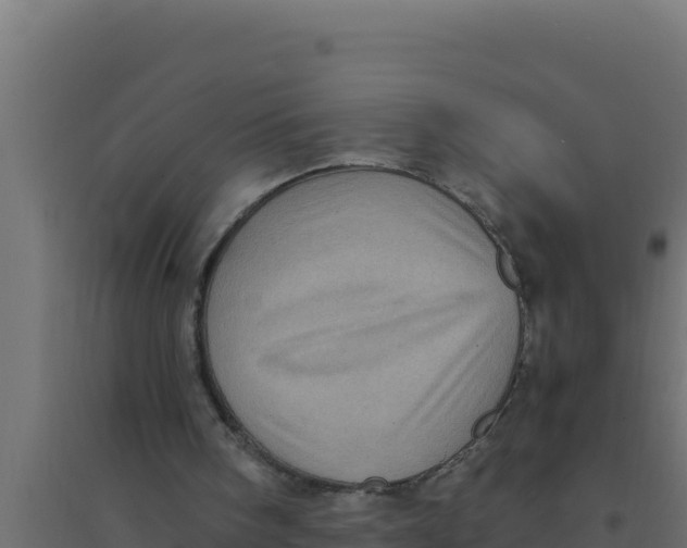 X0000094340098200711241901