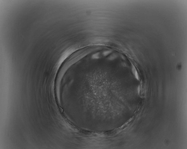 X0000094340099200711241901