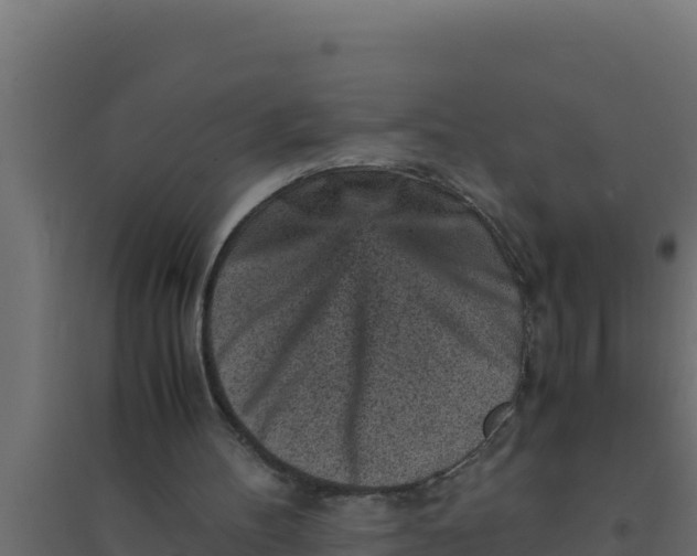 X0000094340100200711241901