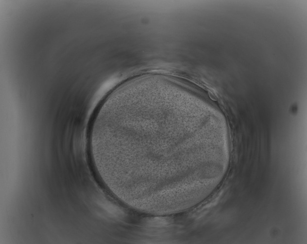 X0000094340102200711241901