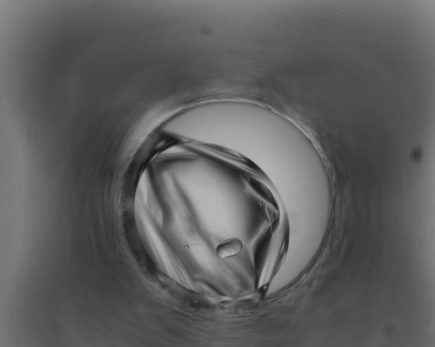 X0000094340103200711241901