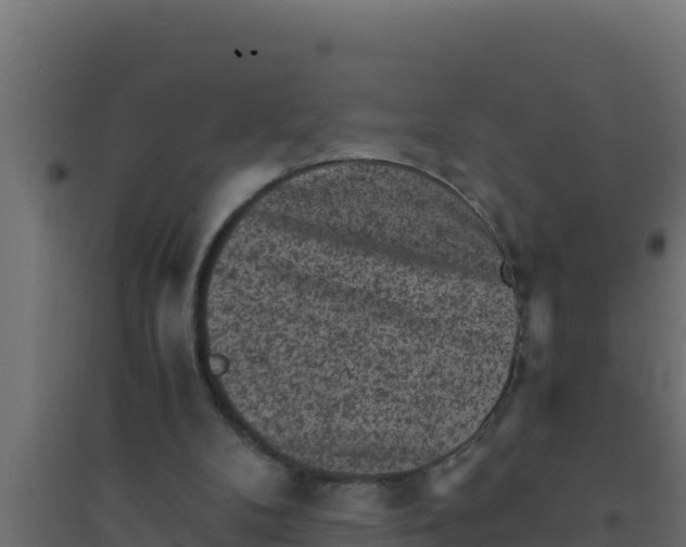 X0000094340104200711241901