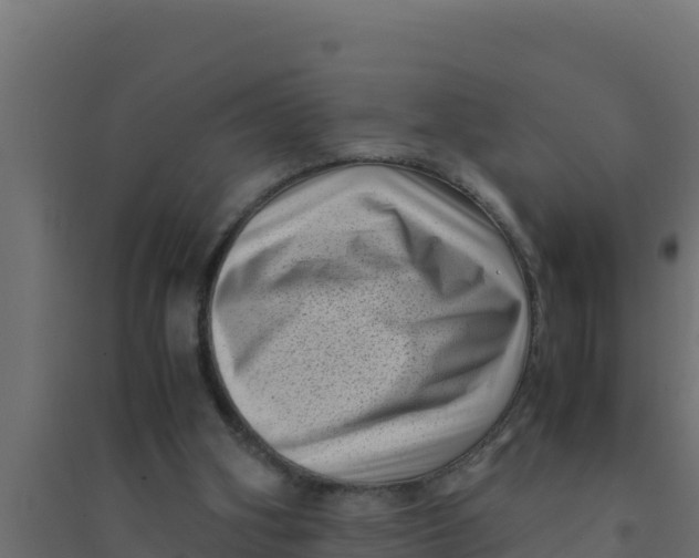 X0000094340106200711241901