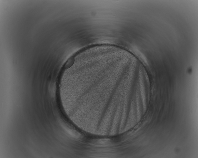 X0000094340108200711241901