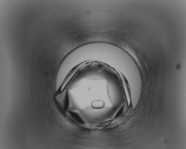 X0000094340109200711241901