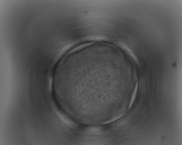 X0000094340110200711241901