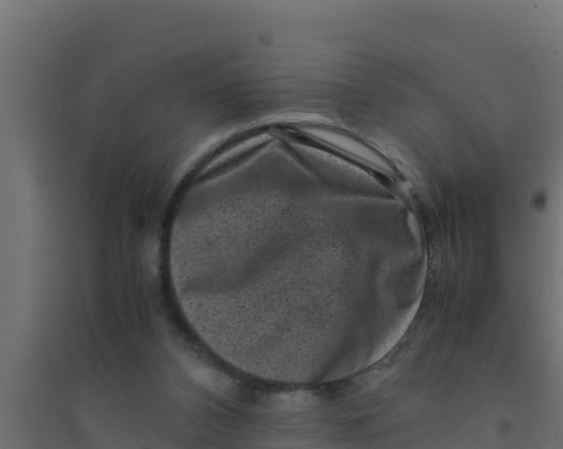 X0000094340112200711241901