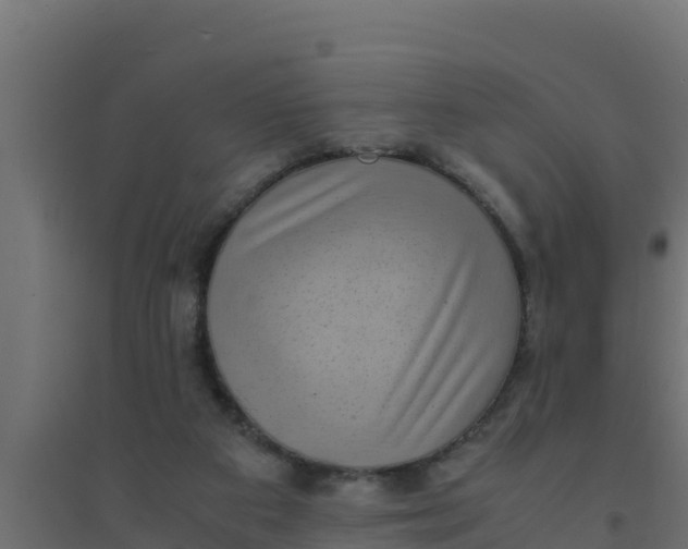 X0000094340113200711241901