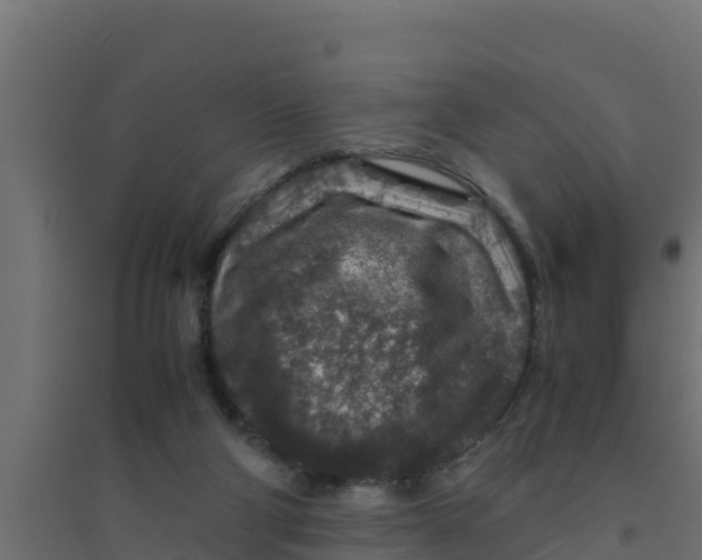 X0000094340114200711241901