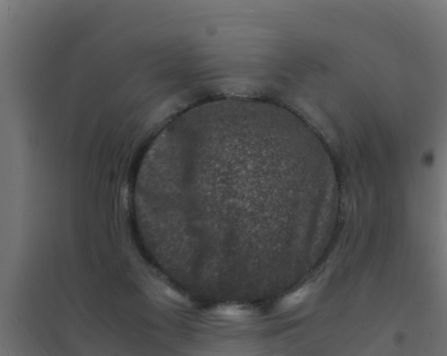 X0000094340117200711241901