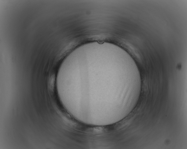 X0000094340118200711241901