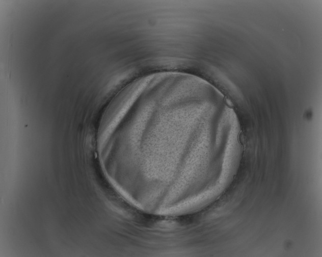 X0000094340119200711241901