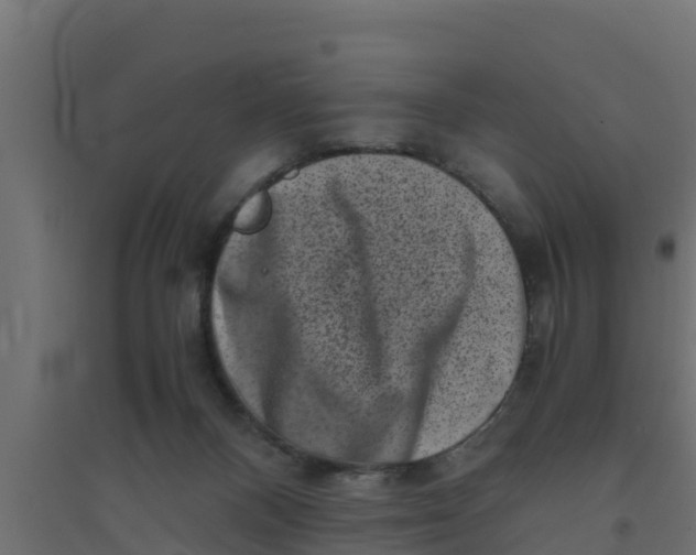 X0000094340120200711241901