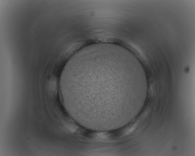 X0000094340121200711241901