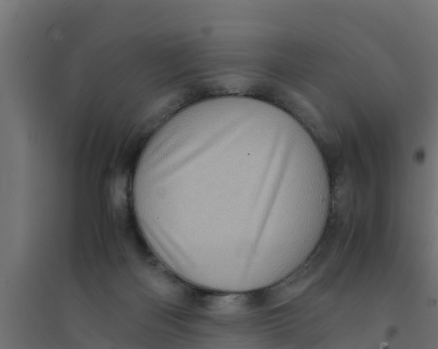 X0000094340122200711241901