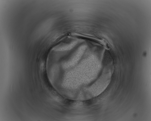 X0000094340123200711241901