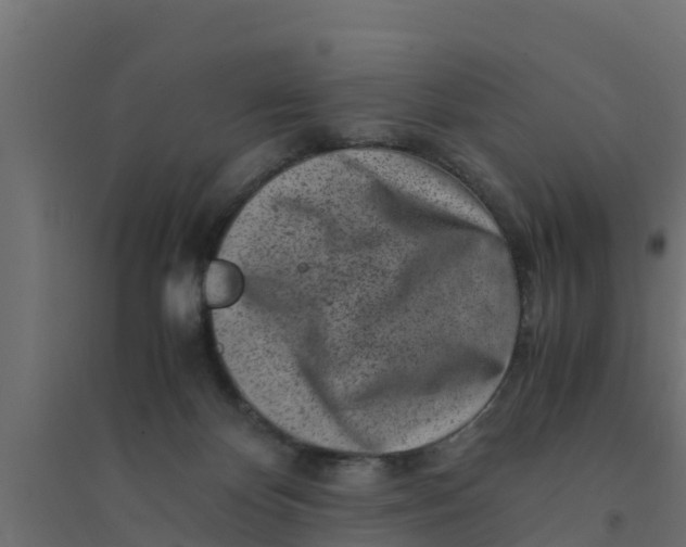 X0000094340124200711241901