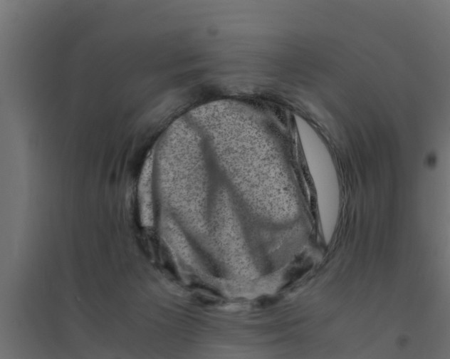 X0000094340125200711241901