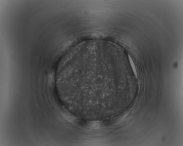 X0000094340127200711241901