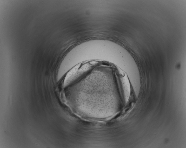 X0000094340128200711241901