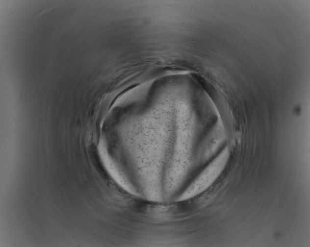 X0000094340129200711241901