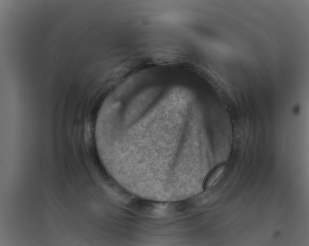 X0000094340130200711241901