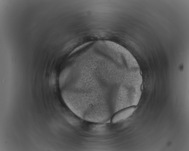 X0000094340132200711241901