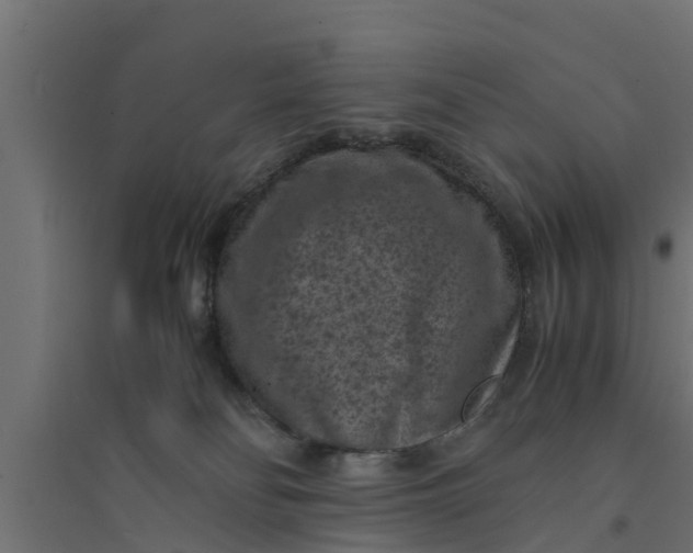 X0000094340134200711241901