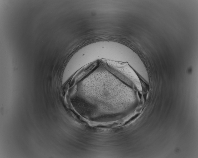 X0000094340136200711241901