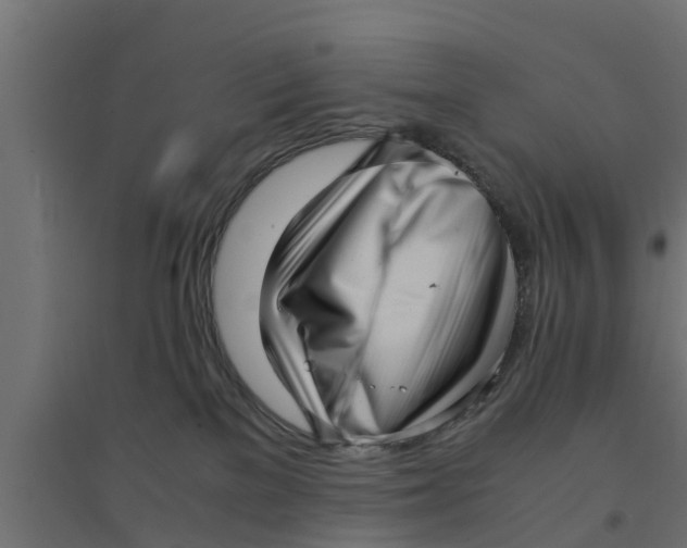 X0000094340137200711241901