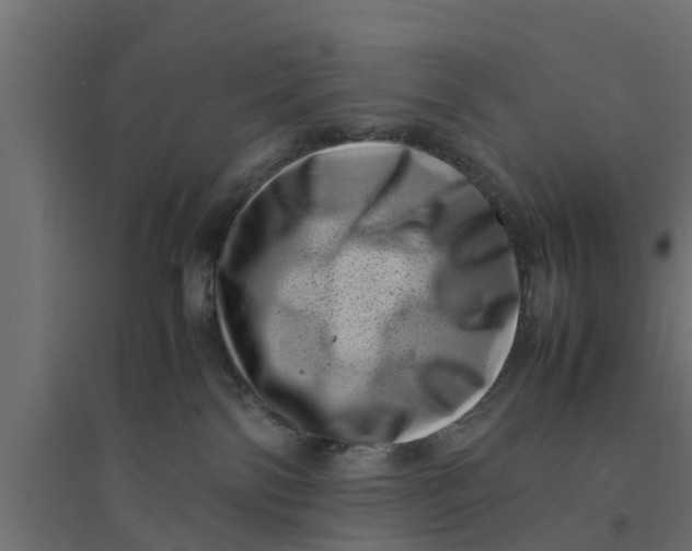 X0000094340138200711241901