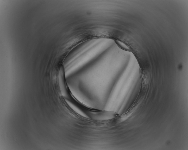 X0000094340141200711241901