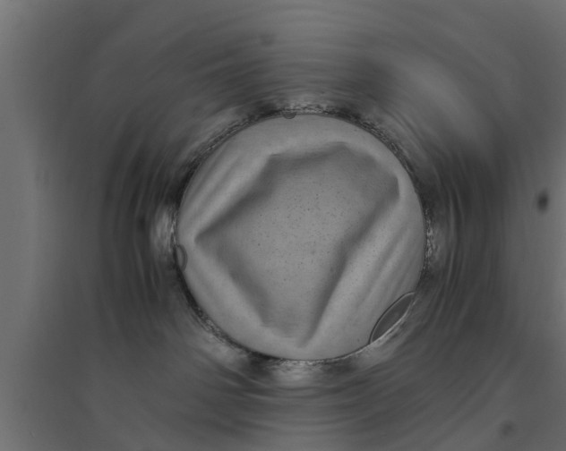 X0000094340142200711241901