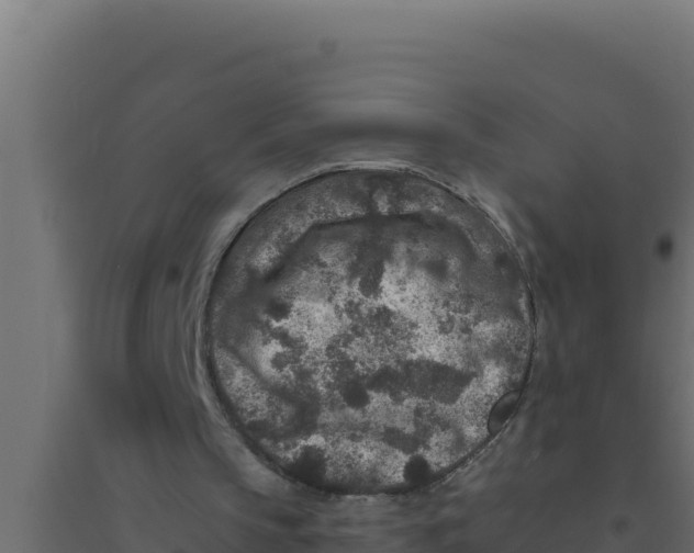 X0000094340145200711241900