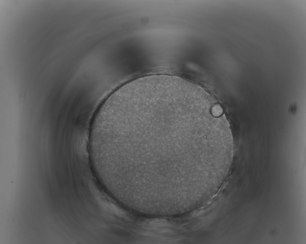 X0000094340146200711241900