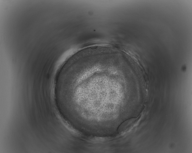 X0000094340149200711241900