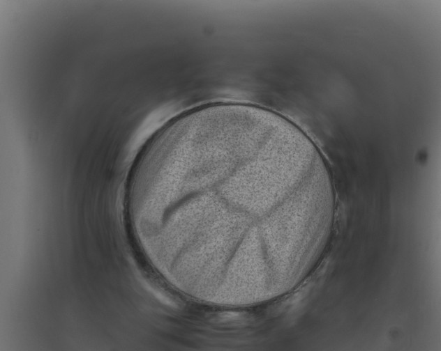 X0000094340151200711241900