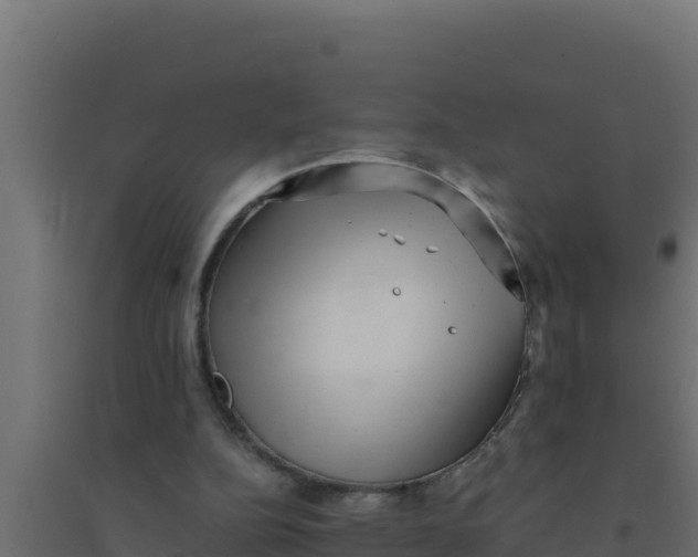 X0000094340152200711241900