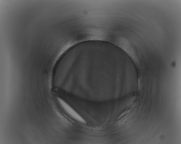 X0000094340156200711241900