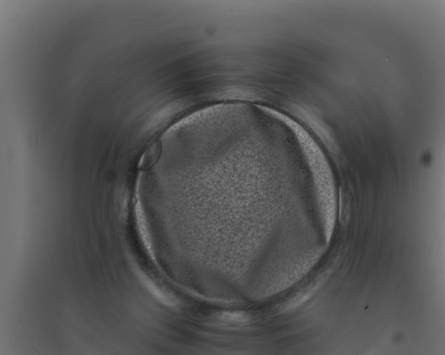 X0000094340157200711241900