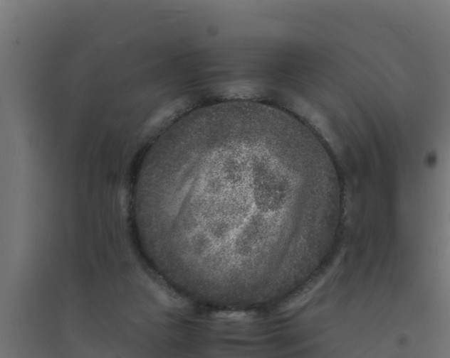 X0000094340161200711241900