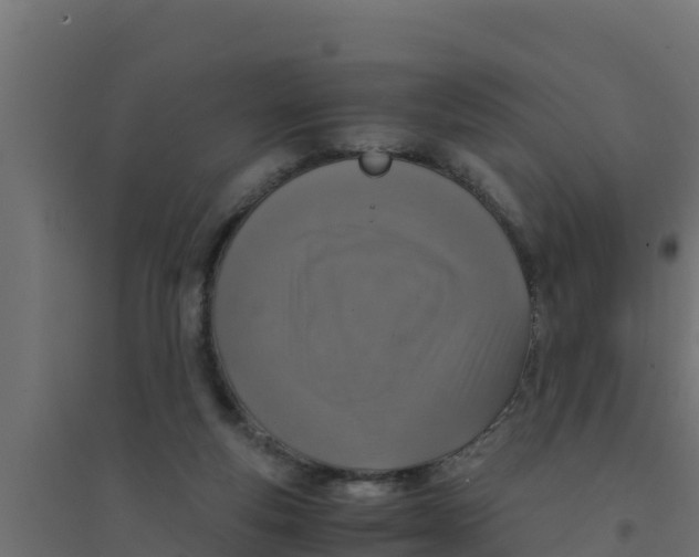 X0000094340163200711241900