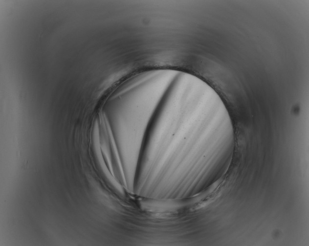 X0000094340164200711241900