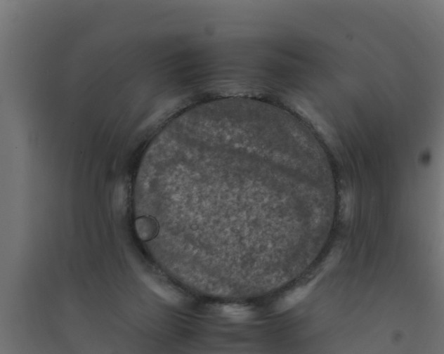 X0000094340165200711241900