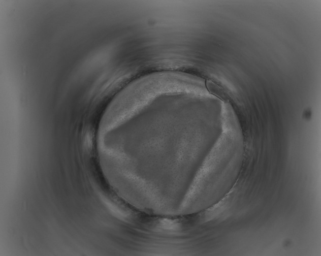 X0000094340166200711241900