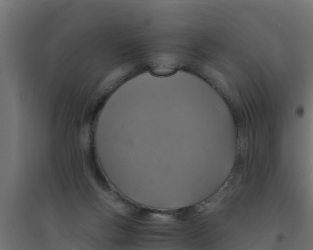 X0000094340167200711241900