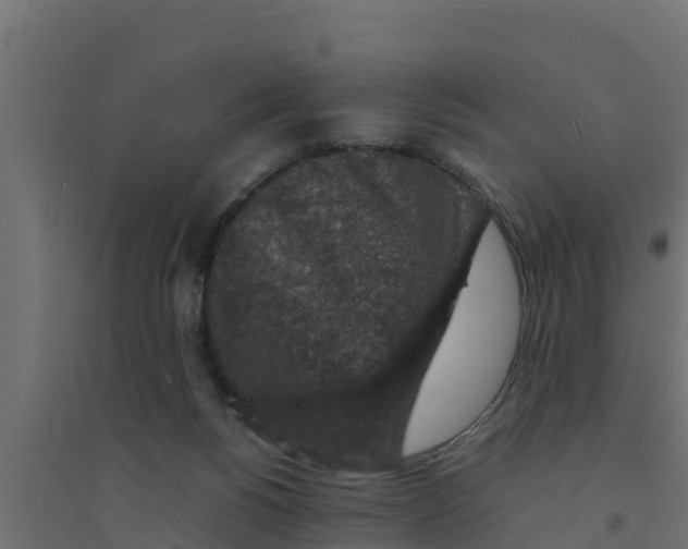 X0000094340168200711241900