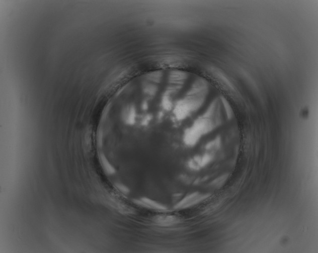 X0000094340169200711241900