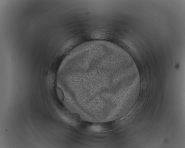 X0000094340171200711241900