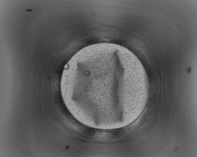 X0000094340174200711241900